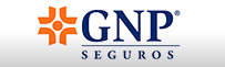 GNP